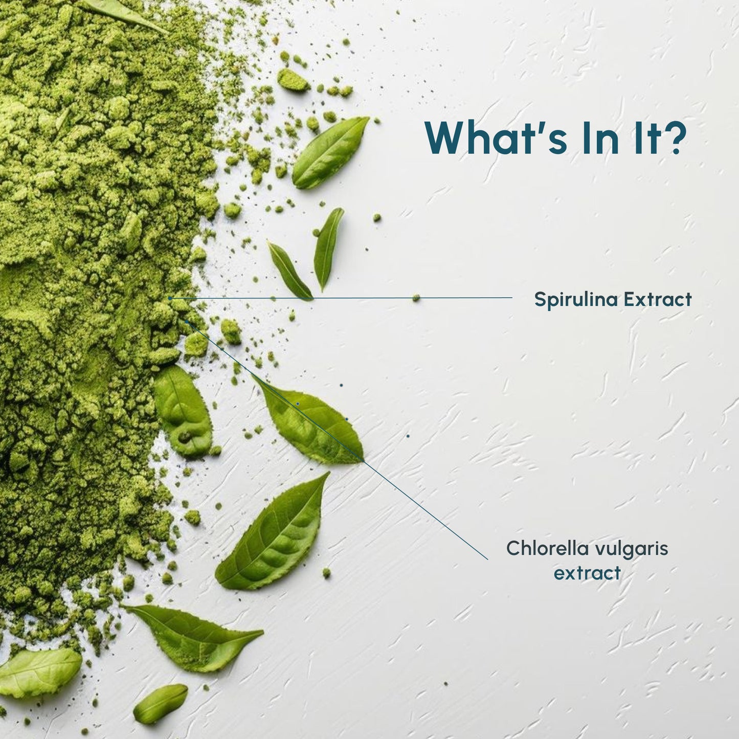 Greens | Chlorella & Spirulina